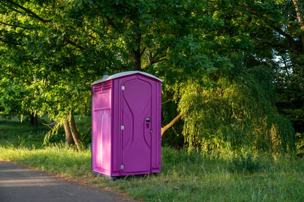 Best Affordable portable toilet rental  in Virginia, MN